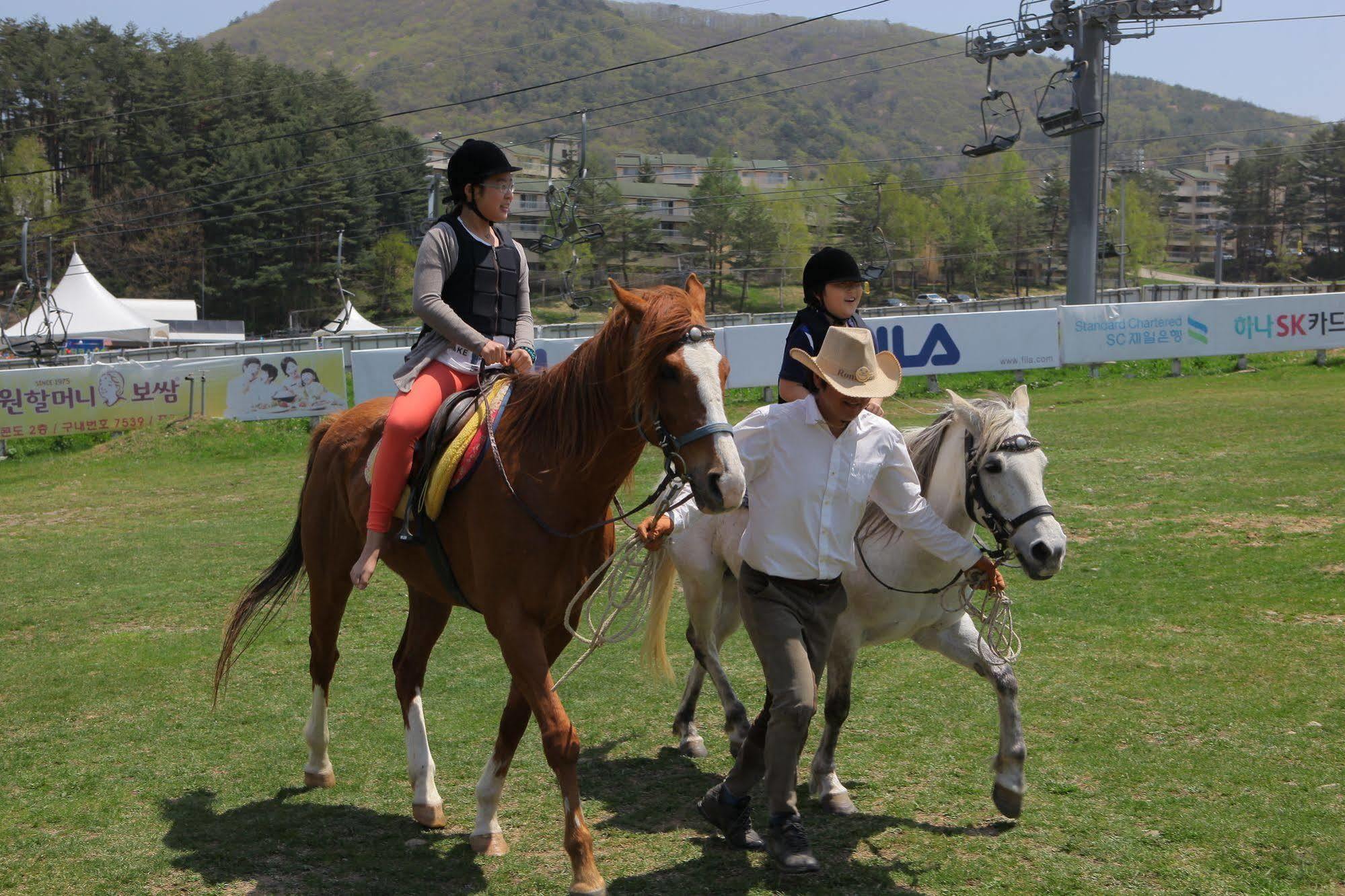 Yongpyong Resort Villa Condominium Pyeongchang Bagian luar foto